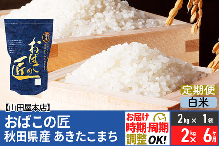 《定期便6ヶ月》令和5年産 おばこの匠 秋田県産あきたこまち 2kg×6回 計12kg 6か月 6ヵ月 6カ月 6ケ月 秋田こまち お米