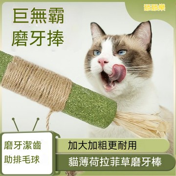 🔥台灣現貨🔥超大貓薄荷棒 木天蓼棒 拉菲草 蟲癭果 磨牙貓咪紓壓 靜音貓玩具 貓咪磨牙棒 口腔 防貓亂咬 貓草啃咬棒