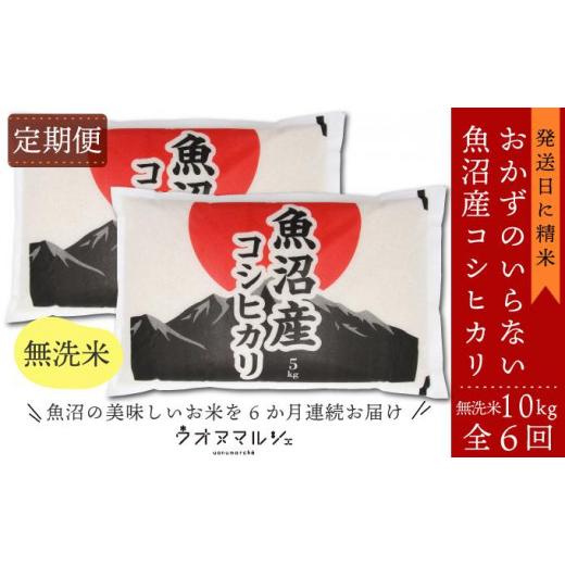 ふるさと納税 新潟県 南魚沼市  おかずのいらない 魚沼産コシヒカリ　無洗米１０ｋｇ