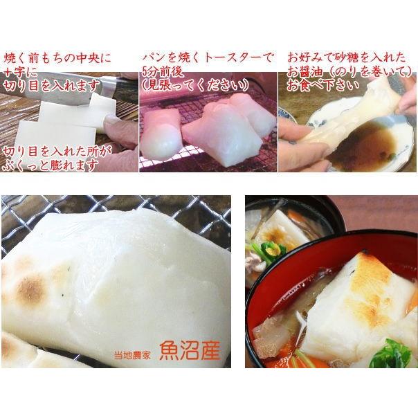 もち 餅 お餅 4kg こがね餅 つきたて（田舎 もち 白餅 500g×8袋入）生産農家 つきたて予約