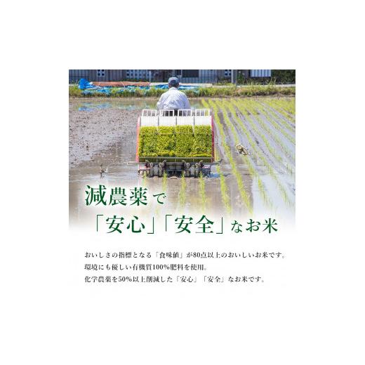 ふるさと納税 山口県 美祢市 特別栽培米コシヒカリ 美穂のかほり 10kg(5kg×2)