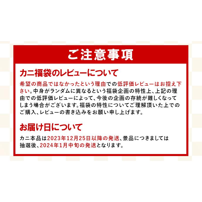 総額100万円相当の豪華景品が当たる！ カニガチャ カニ福袋 かに カニ 蟹 福袋 運試し福袋 ずわいがに タラバガニ 越前蟹 海鮮福袋 ギフト プレゼント