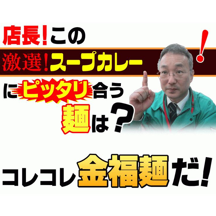 送料無料 うどん 激選スープカレーうどん10人前セット