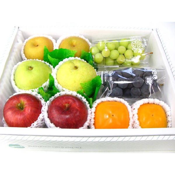 果物　fruit　特選季節の フルーツセット　フルーツ　お見舞い　あすつく　 送料無料（北海道、沖縄県は送料1000円追加させていただきます。）