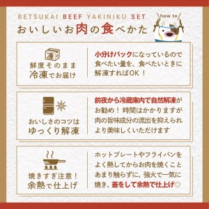 数量限定 北海道 別海和牛 希少部位 贅沢 焼肉 9種 盛り合わせ （5種 ランダム4種）（ 上カルビ 特上カルビ カイノミ ミスジ リブロース 焼肉 北海道 別海町 別海和牛 和牛 黒毛和牛 人気 ふるさと納税 ）FF0000007_002