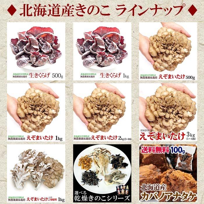 きくらげ 生 国産 1kg 北海道産 生きくらげ 送料無料 無農薬 ビタミンD 菌床 栽培 キクラゲ 冷蔵 お取り寄せ 食物繊維 しゃぶしゃぶ 天ぷら わさび醤油