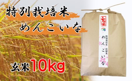 新米令和5年産 玄米 10kg