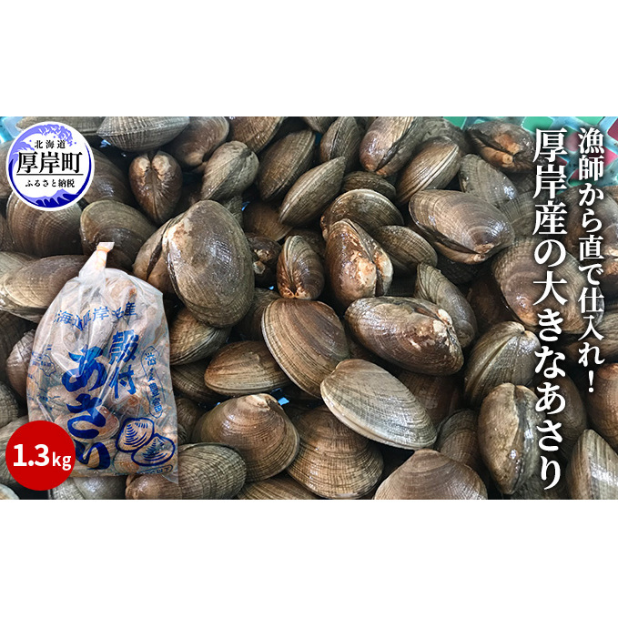 あさり 漁師から直で仕入れ！厚岸産の大きなあさり 1.3kg