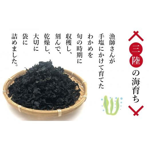 ふるさと納税 宮城県 石巻市 わかめ 三陸産 カットわかめ 200g（100g×2）乾燥わかめ 常温 チャック付き 宮城県 石巻市