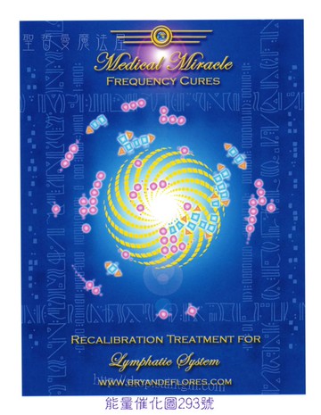 能量催化圖AC293號- 淋巴系統