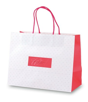 【搭盒訂購限定】星之彩手提袋/ 3303-1A1