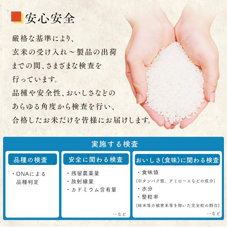 米 5kg 送料無料 令和4年産 国産米 ミルキークイーン 低温製法米 精米 お米 5キロ みるきーくいーん ご飯  アイリスフーズ