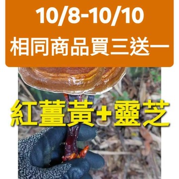 [福伯薑黃]紅薑黃膠囊(添加靈芝+黑胡椒)消除疲憊感 長期應酬 補氣 養身 靈芝 {紅薑黃 薑黃粉 薑黃膠囊 薑黃錠}