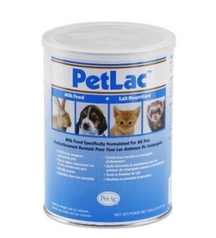 『寵喵樂旗艦店』PetAg美國貝克《寵物通用奶粉》PetLac Milk 犬貓小動物代母乳-300g