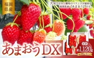 あまおう DX 約280g×4パック 1120g いちご 苺 イチゴ