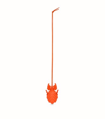 Loewe Leather Leaf Insect Charm
