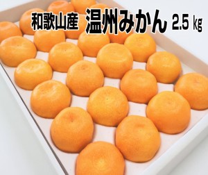 濃厚な味のとろける美味しさ！高糖度の温州みかん Lサイズ 約2.5kg（20個) 和歌山みかん 送料無料