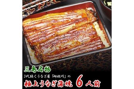 三島名物 うなぎ 蒲焼 (真空パック) 6人前（1人前あたり120g～140g）