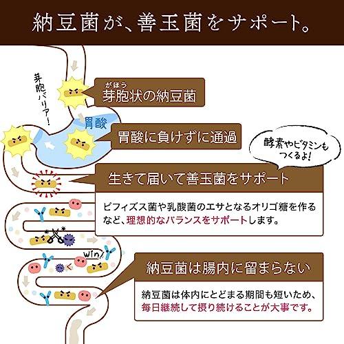 納豆菌が生きている！ひとさじでバランス栄養食に 粉納豆（国産 納豆粉末100%・完全無添加 納豆パウダー）(50g ボトル)