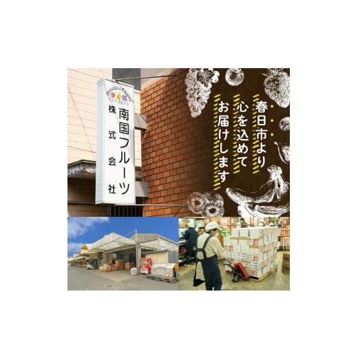 ふるさと納税 福岡県 春日市 ＜定期便・全6回(連続)＞ご飯のお供セット 元気つくし(総量15kg・約2.5kg×6回)＆ふくや 味の明太子(総量600g・約100g…