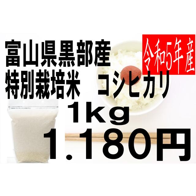 米　令和5年度産　富山県　黒部産　特別栽培米　コシヒカリ 1kg