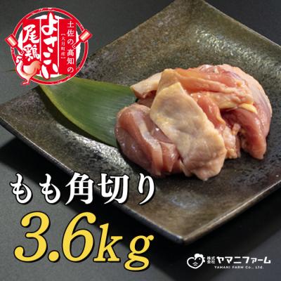 ふるさと納税 大月町 よさこい尾鶏 もも肉角切り(300g)×12パック