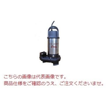 直送品】 エレポン 水中ポンプ EPG-250-2T-60Hz (EPG-250-2T-6) (200V