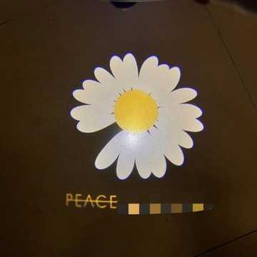 【小悅居】權志龍雛菊迎賓投影車門氛圍定製投影燈鐳射照地燈車載改裝氛圍燈網紅同款、熱門單品 人氣好物