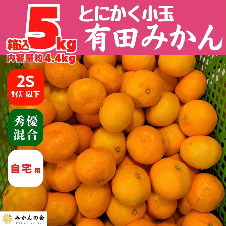 みかん  とにかく 小玉 箱込 5kg 内容量 4.4kg 2Sサイズ以下 秀品 優品 混合 有田みかん 和歌山県産 産地直送 家庭用