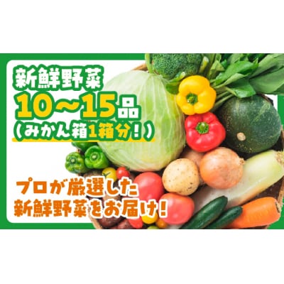 ぶちうま!山口の新鮮お野菜BOX D-186