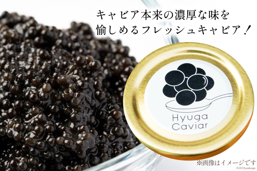 日向キャビア(Hyuga Caviar) 20g(冷凍・フレッシュキャビア) [宮崎キャビア 宮崎県 日向市 452060323]