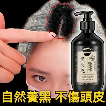 臺灣現貨🔥【何首烏洗髮精】黑靈芝黑髮洗髮精 老年白髮 產後白髮 壓力白髮 洗黑草本洗髮 滋養秀髮洗髮精 強健秀髮控油抗