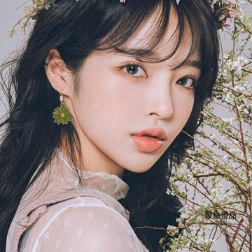 小雛菊耳環女長款耳墜花朵款法式耳鉤耳飾韓版長款【聚物優品】