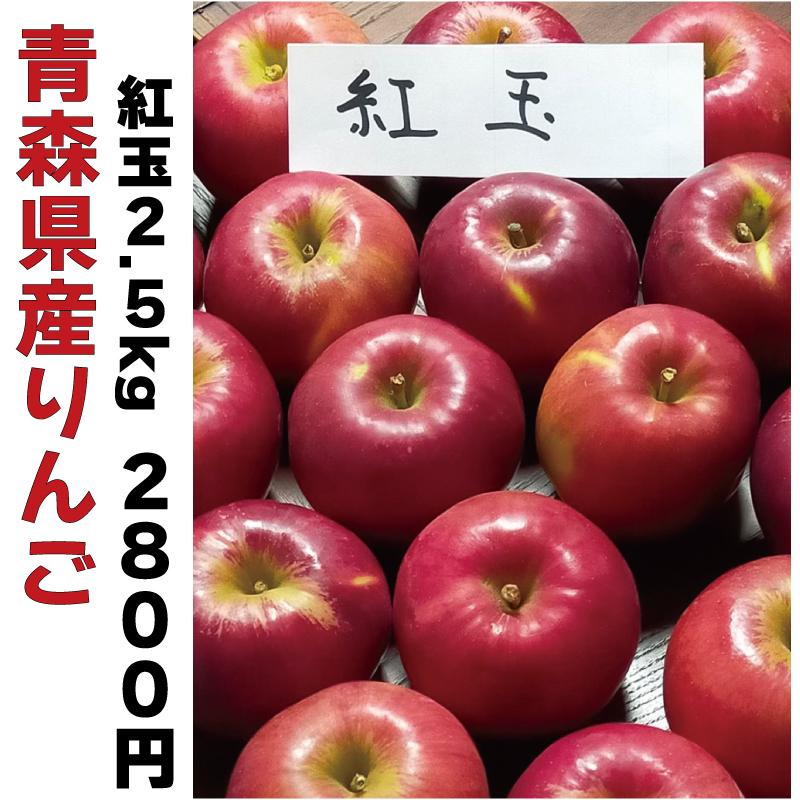 りんご ※加工用  青森県産 訳あり 紅玉 2.5kg 送料無料 林檎