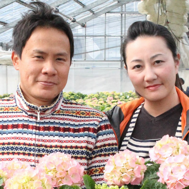 鉢植え シクラメン ウィンク シャワーレッド 花 花鉢 ギフト プレゼント フラワーギフト 贈り物 通販 Lineポイント最大10 0 Get Lineショッピング