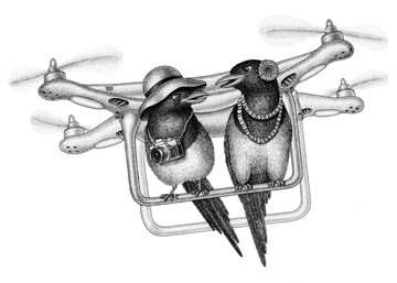 Birds – Travelers 鳥類－旅行者