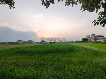 冬山安農溪第一排永久棟距可蓋兩棟農地☆｜宜蘭縣冬山鄉柯林一段