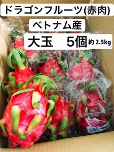 ドラゴンフルーツ 赤肉 ベトナム産 大玉 5個 約2.5kg