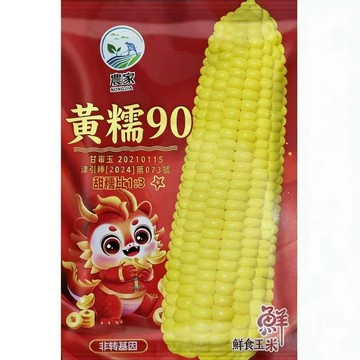 台灣原装黃玉米種子 農友推薦甜玉米種源 非基改家庭菜園盆栽專用 耐熱高產自留地栽種易活農作種植 南部北部四季可播種