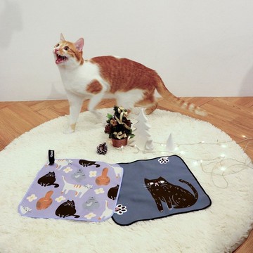 萬用快乾巾/小方巾/手帕- 喵的~擦一下 貓咪擦手巾2入組(速乾吸水