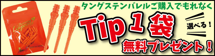 Eder type3 エデル3 スティール19.5ｇ 吉野洋幸選手 ハードダーツ バレル