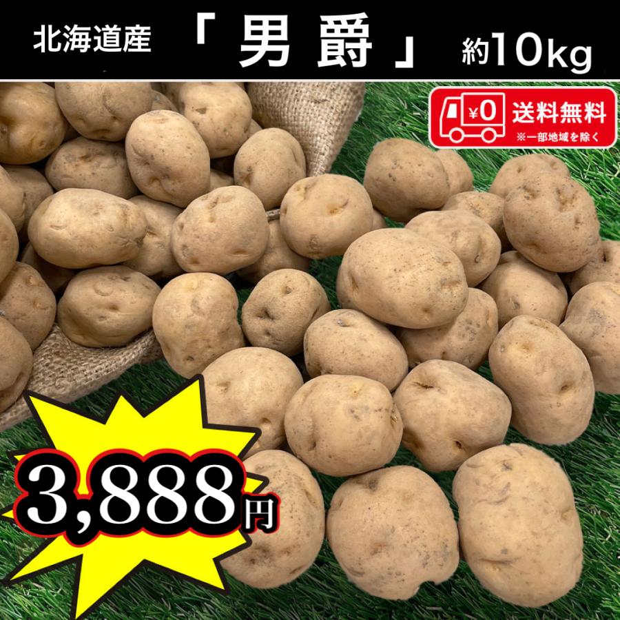 送料無料 北海道産 男爵 Mサイズ 10kg じゃがいも 馬鈴薯 送料無料