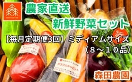 農家直送新鮮野菜セット（ミディアム）８～１０品