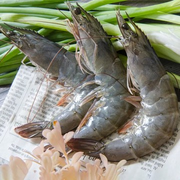 泰皇活凍大白蝦（31/40）/600g(盒)_AW045