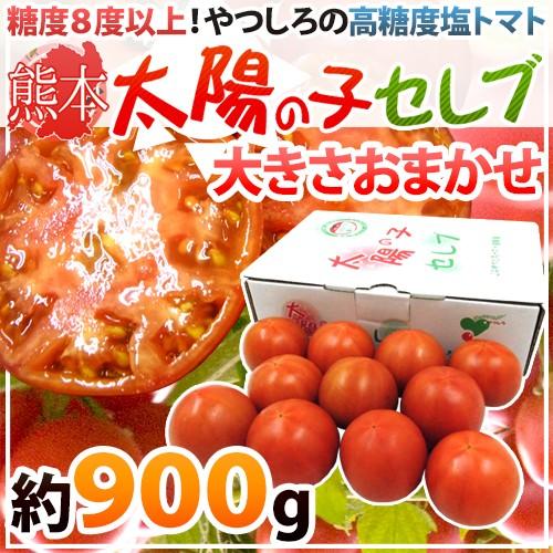 熊本産 塩トマト ”太陽の子セレブ” 約900g 化粧箱 糖度8度以上 送料無料