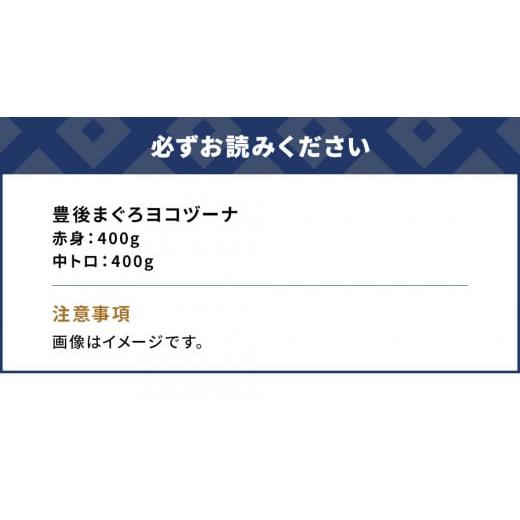 ふるさと納税 大分県 津久見市 豊後まぐろ ヨコヅーナ  赤身400ｇ 中トロ400g 鮪 マグロ 海鮮丼 刺し身 盛り合わせ 冷凍 魚の刺身 大分県産 九州産 津久見市