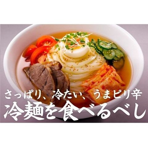 大阪王将セレクト 盛岡冷麺 2食スープ付き 全国