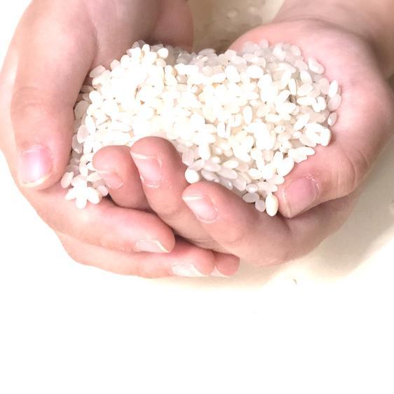 米・穀物 雑穀  北海道産もち麦1kg 産地直送