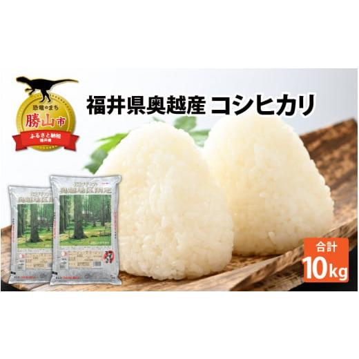 ふるさと納税 福井県 勝山市 令和5年産 新米 福井県産奥越コシヒカリ5kg ×2袋（計 10kg） [B-015002]