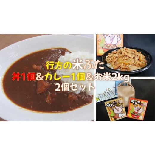 ふるさと納税 茨城県 行方市 CU-13 行方産コシヒカリ2kg＆米ぶた丼＆米ぶたカレー（中辛）各1個セット